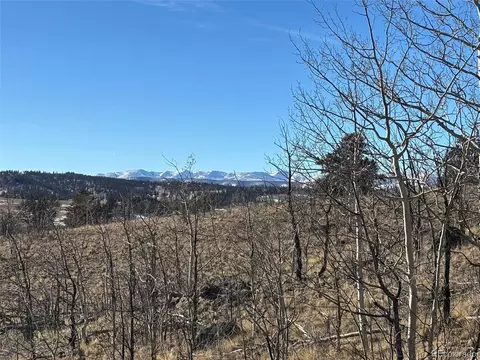 29 Strelets Way, Como, CO 80432 photo 6