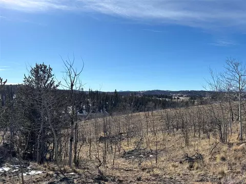29 Strelets Way, Como, CO 80432 photo 2