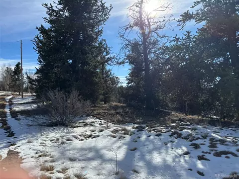 29 Strelets Way, Como, CO 80432 photo 11