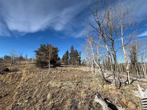 29 Strelets Way, Como, CO 80432 photo 8