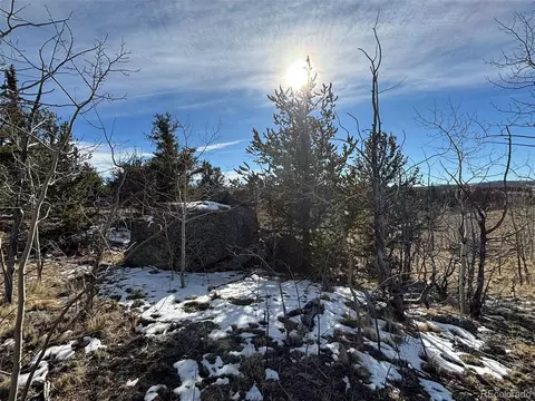 29 Strelets Way, Como, CO 80432 photo 13