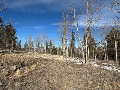 29 Strelets Way, Como, CO 80432 photo 17