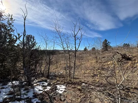 29 Strelets Way, Como, CO 80432 photo 20