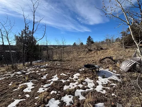 29 Strelets Way, Como, CO 80432 photo 18