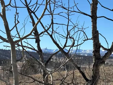 29 Strelets Way, Como, CO 80432 photo 10