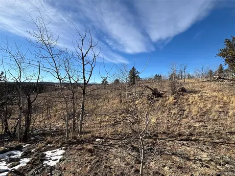 29 Strelets Way, Como, CO 80432 photo 14
