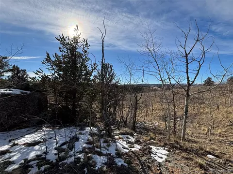 29 Strelets Way, Como, CO 80432 photo 9