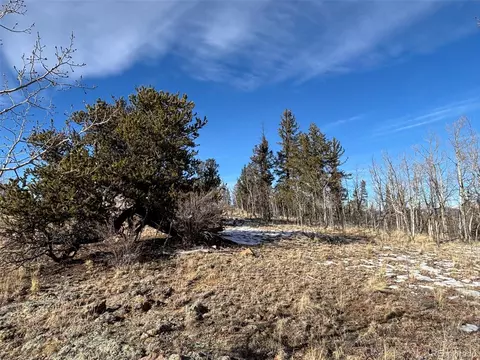 29 Strelets Way, Como, CO 80432 photo 3