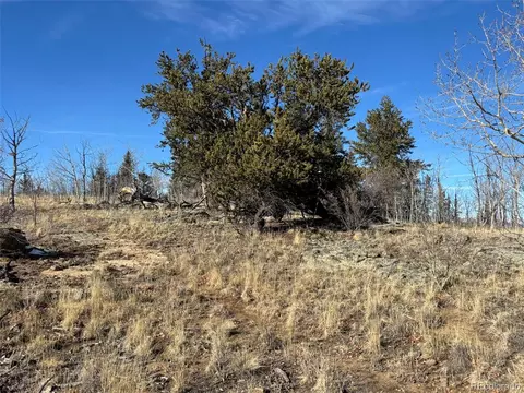 29 Strelets Way, Como, CO 80432 photo 7