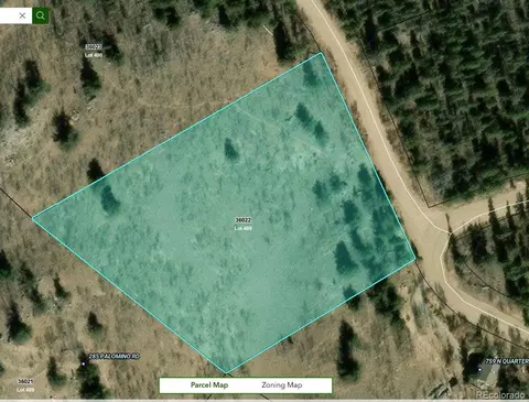 29 Strelets Way, Como, CO 80432 photo 21