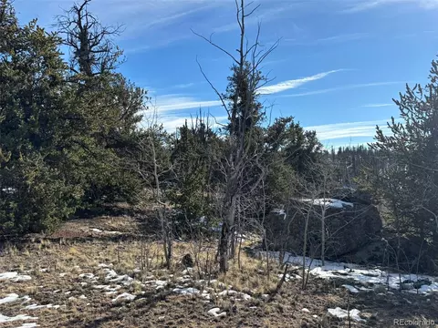 29 Strelets Way, Como, CO 80432 photo 5