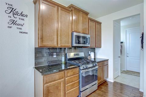 7245 E 133rd Cir, Thornton, CO 80602 photo 11