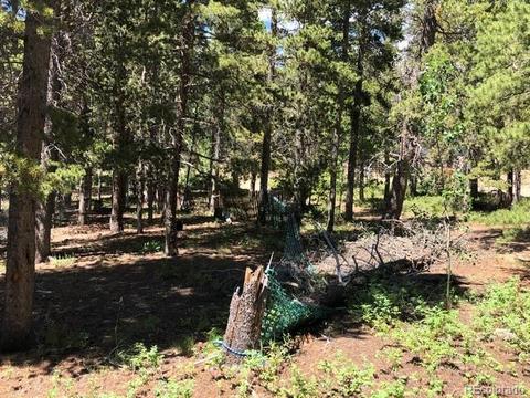 126 Dynamite Dr, Black Hawk, CO 80422 photo 22