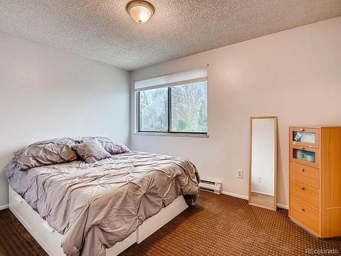3778 E 118th Way, Thornton, CO 80233 photo 17