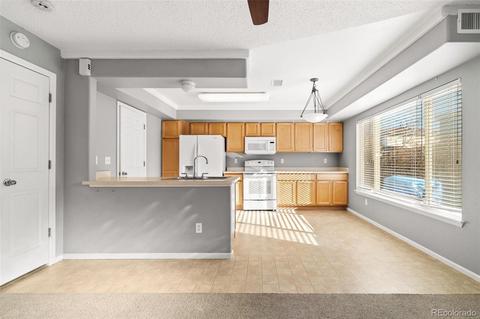 21530 E 40th Pl, Denver, CO 80249 photo 9