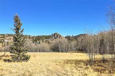 Chief Trail, Como, CO 80432 photo 20