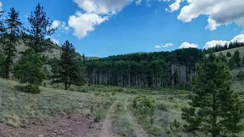 84 85 Acres, Saguache, CO 81149