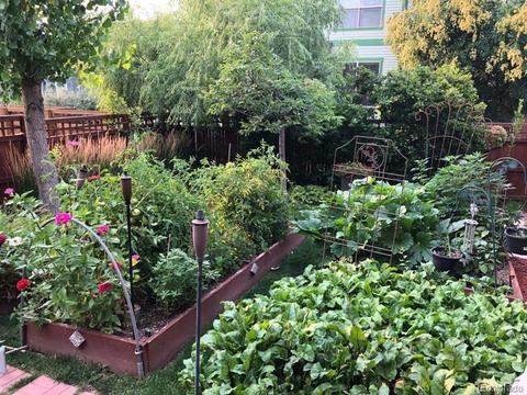 9799 E 28th Ave, Denver, CO 80238 photo 19