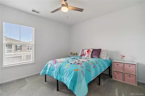9031 Apache Plume Dr #E, Parker, CO 80134 photo 22