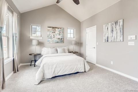 10570 E 28th Pl, Denver, CO 80238 photo 14