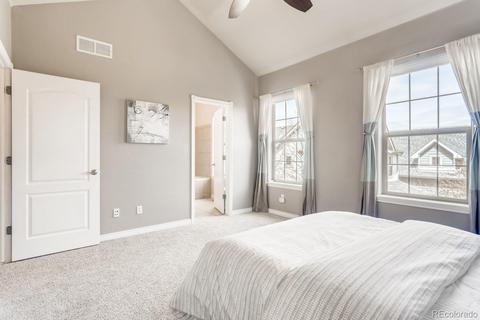 10570 E 28th Pl, Denver, CO 80238 photo 16