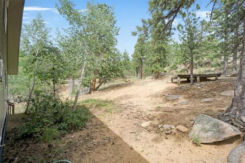 864 Road P69, Bailey, CO 80421 photo 28