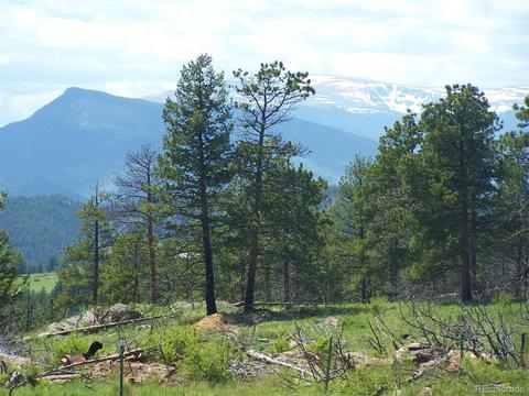 15331 Quandary Peak Rd, Pine, CO 80470 photo 13