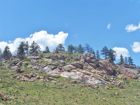 15331 Quandary Peak Rd, Pine, CO 80470 photo 5