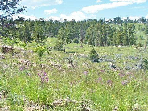 15331 Quandary Peak Rd, Pine, CO 80470 photo 6