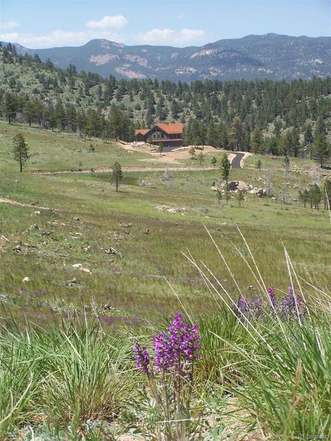 15331 Quandary Peak Rd, Pine, CO 80470 photo 3