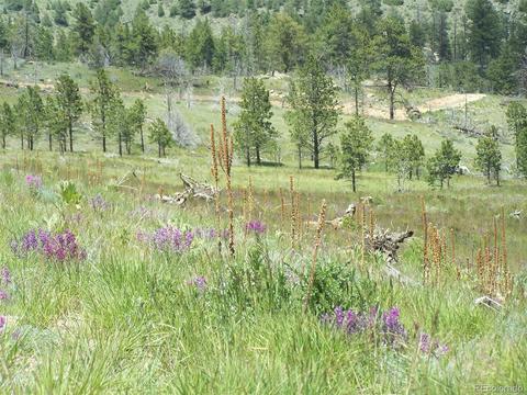 15331 Quandary Peak Rd, Pine, CO 80470 photo 2