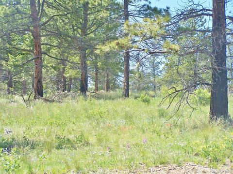 15331 Quandary Peak Rd, Pine, CO 80470 photo 4