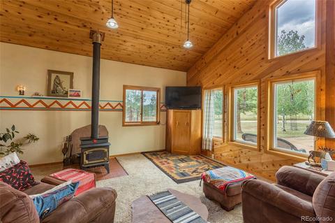 135 Louis Rd, Bailey, CO 80421 photo 4