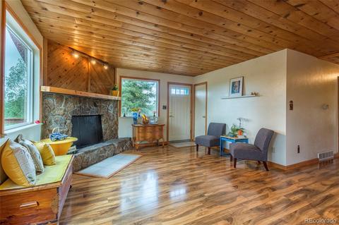 135 Louis Rd, Bailey, CO 80421 photo 9