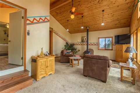 135 Louis Rd, Bailey, CO 80421 photo 5