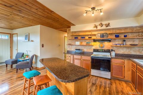 135 Louis Rd, Bailey, CO 80421 photo 15