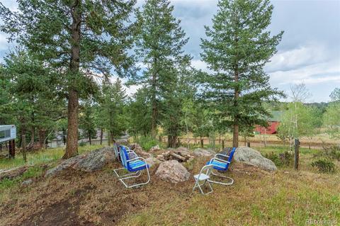 135 Louis Rd, Bailey, CO 80421 photo 28