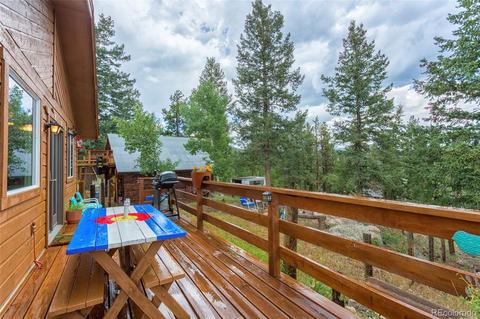 135 Louis Rd, Bailey, CO 80421 photo 23