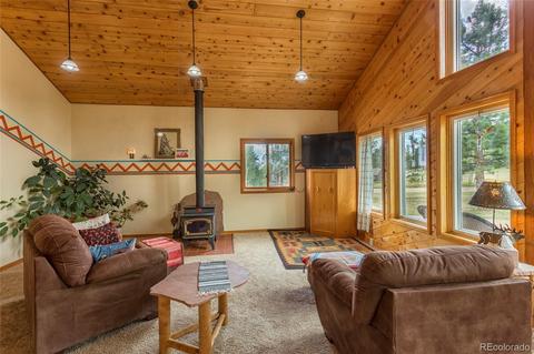 135 Louis Rd, Bailey, CO 80421 photo 6