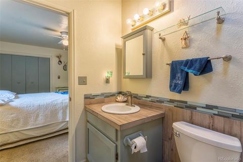 135 Louis Rd, Bailey, CO 80421 photo 21