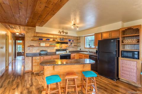 135 Louis Rd, Bailey, CO 80421 photo 16