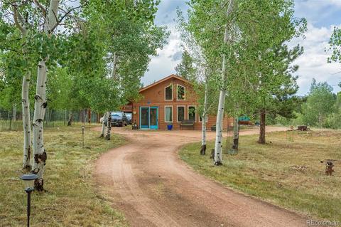 135 Louis Rd, Bailey, CO 80421 photo 1
