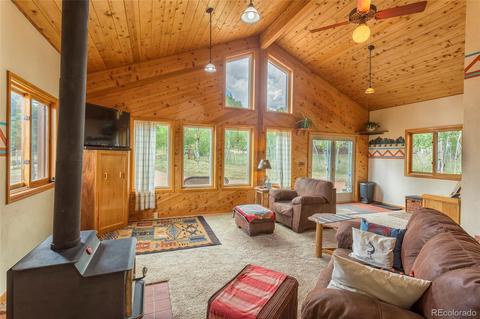 135 Louis Rd, Bailey, CO 80421 photo 3