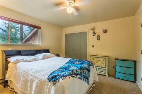135 Louis Rd, Bailey, CO 80421 photo 18