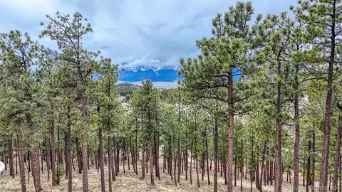 lot43 S Ben Eaton Ln, Westcliffe, CO 81252