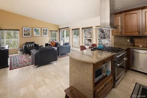 263 Barrows Ranch Rd, Evergreen, CO 80439 photo 11
