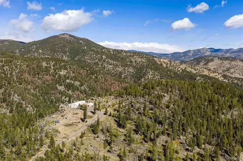 263 Barrows Ranch Rd, Evergreen, CO 80439 photo 43