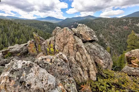 263 Barrows Ranch Rd, Evergreen, CO 80439 photo 34