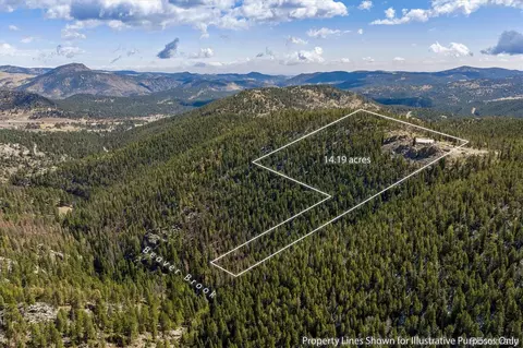 263 Barrows Ranch Rd, Evergreen, CO 80439 photo 45