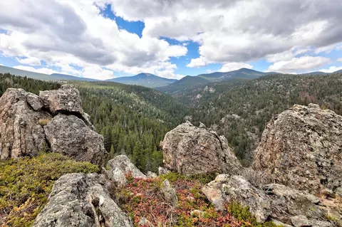 263 Barrows Ranch Rd, Evergreen, CO 80439 photo 26